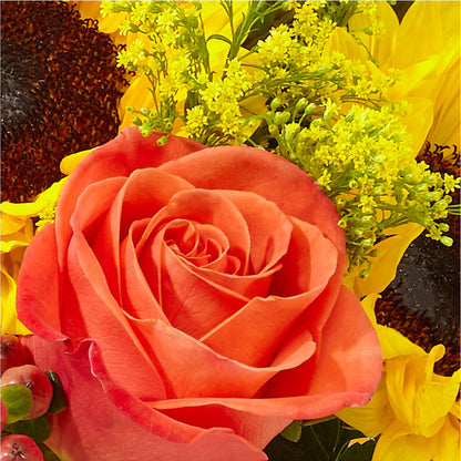 Pick of the Patch Pumpkin Bouquet – DIGIORGIO'S FLORIST, Charleroi PA
