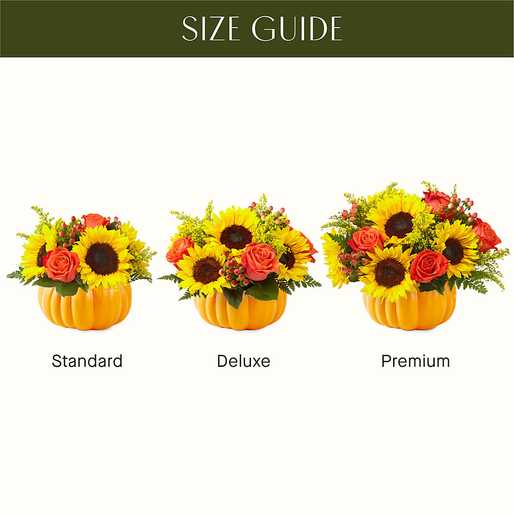 Pick of the Patch Pumpkin Bouquet – DIGIORGIO'S FLORIST, Charleroi PA