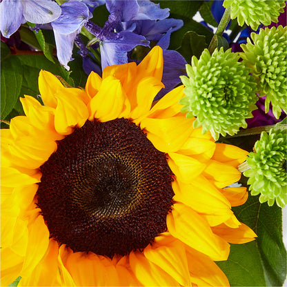Catching Rays Bouquet – DIGIORGIO'S FLORIST, Charleroi PA