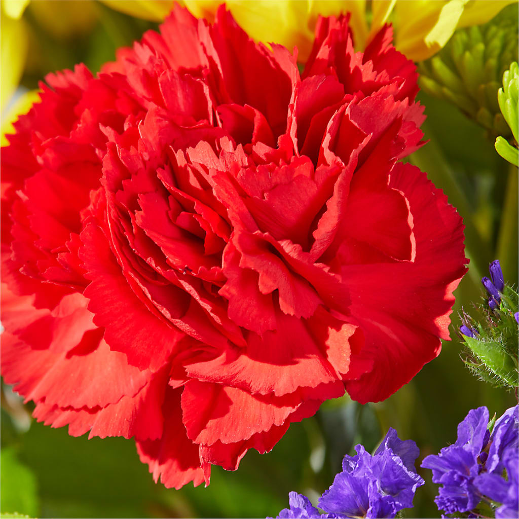 Brighter Days Bouquet – DIGIORGIO'S FLORIST, Charleroi PA