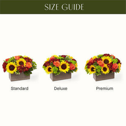 Happy Harvest Garden – DIGIORGIO'S FLORIST, Charleroi PA