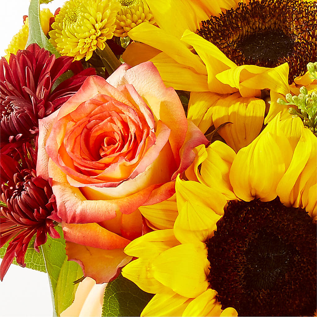 Golden Gourd Pumpkin Bouquet – DIGIORGIO'S FLORIST, Charleroi PA