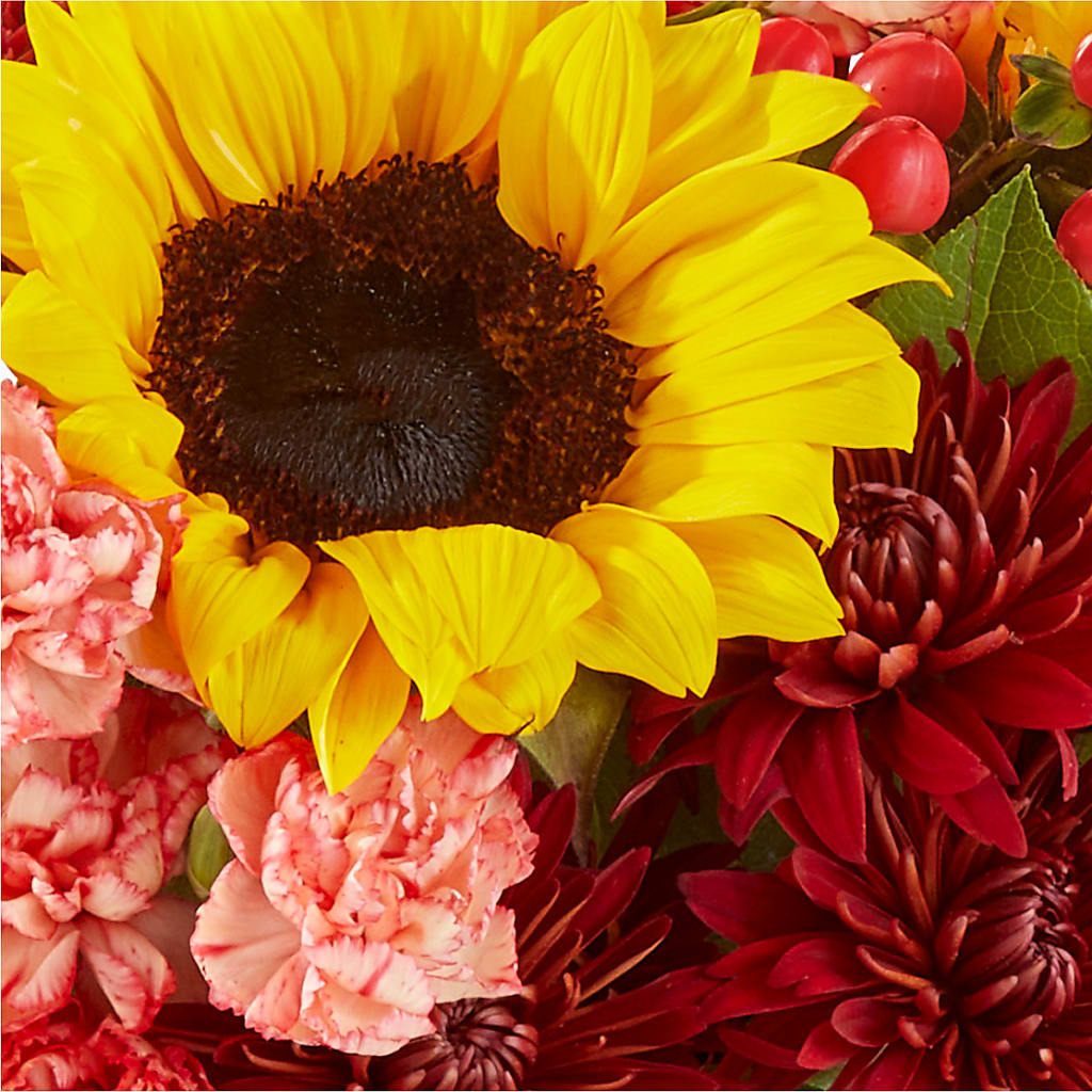 Fresh Cider Bouquet – DIGIORGIO'S FLORIST, Charleroi PA