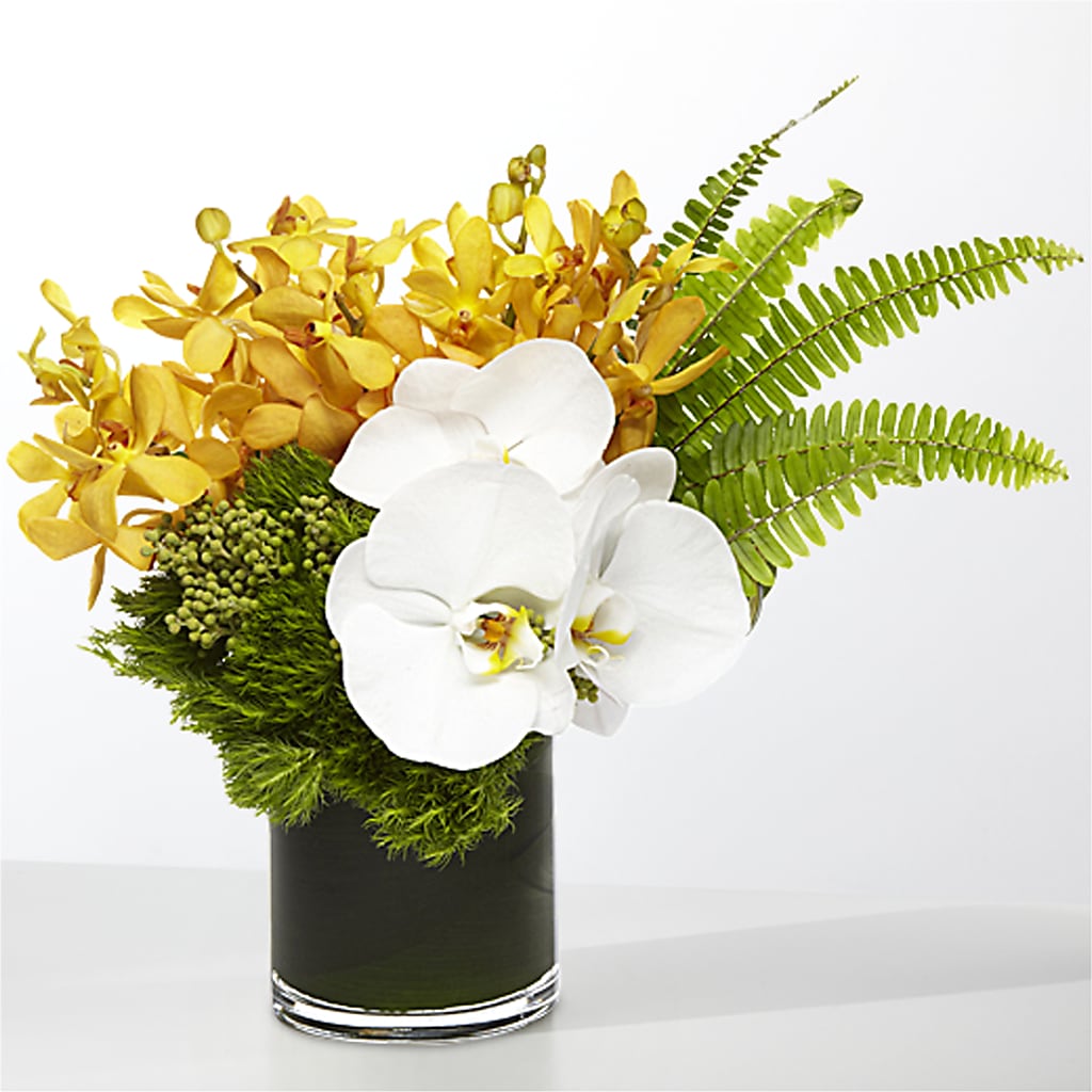 The Tropics – DIGIORGIO'S FLORIST, Charleroi PA