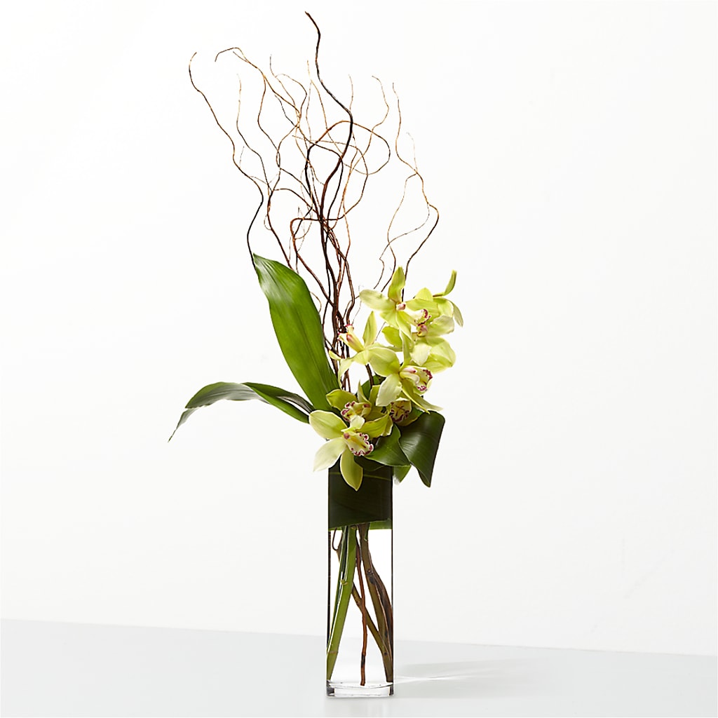 The Statement – DIGIORGIO'S FLORIST, Charleroi PA