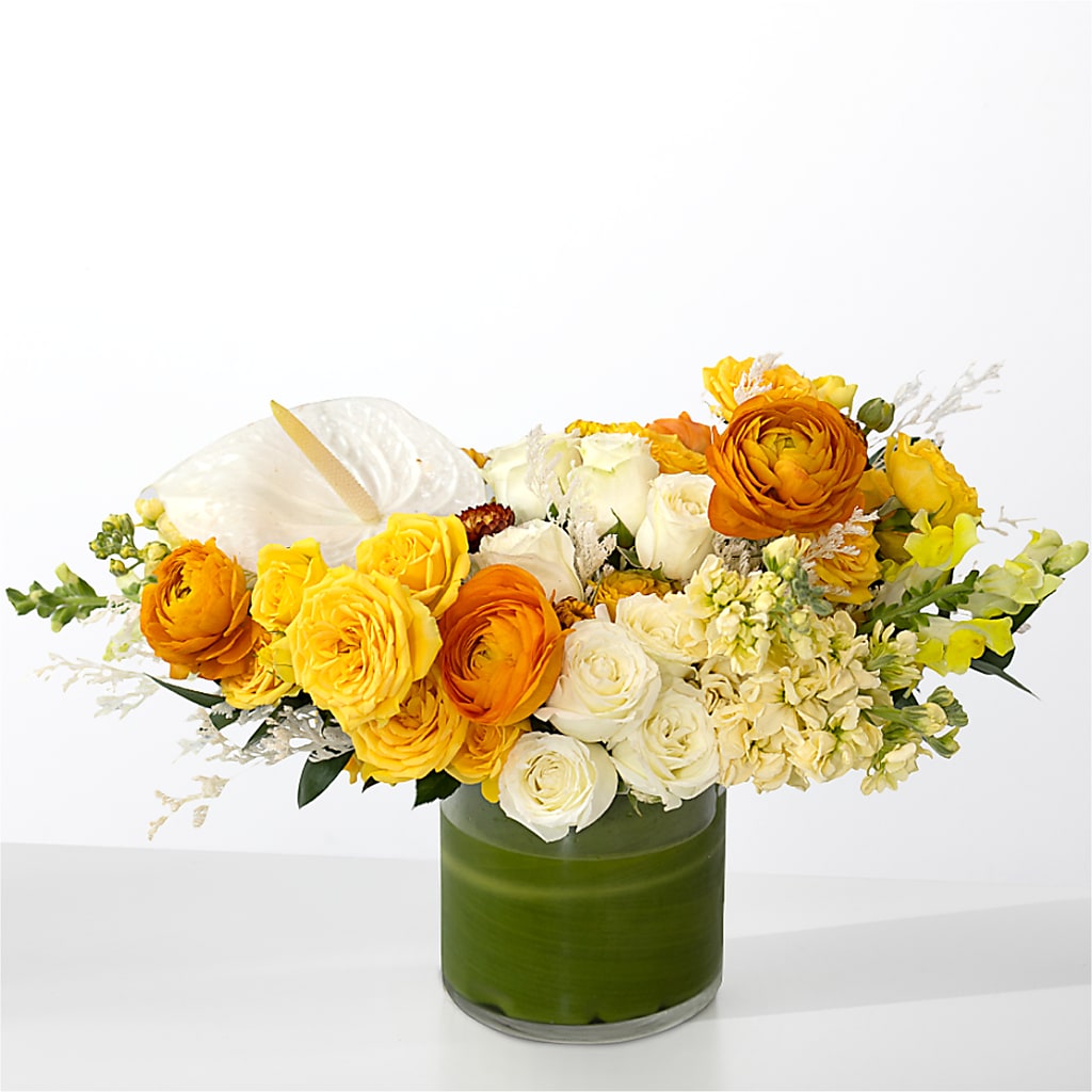 The Optimist – DIGIORGIO'S FLORIST, Charleroi PA