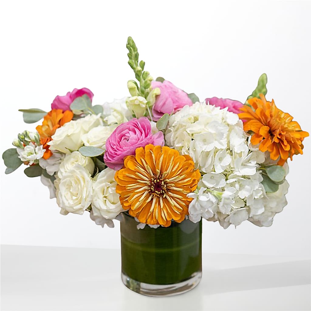 The Meet Cute – DIGIORGIO'S FLORIST, Charleroi PA