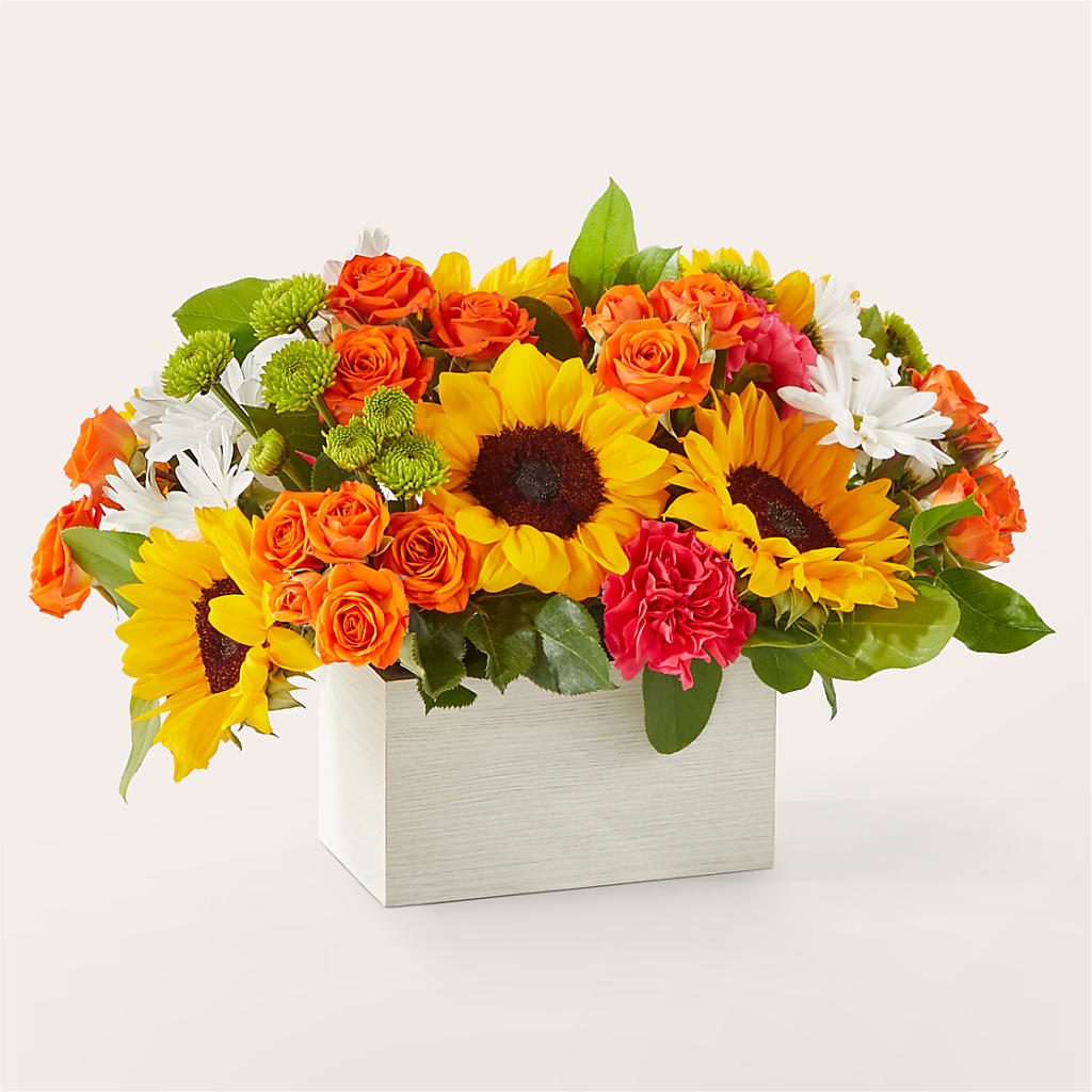 Sun-drenched Blooms Box Bouquet – DIGIORGIO'S FLORIST, Charleroi PA