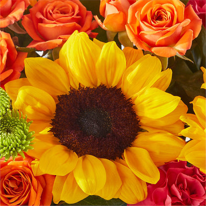 Sun-drenched Blooms Box Bouquet – DIGIORGIO'S FLORIST, Charleroi PA