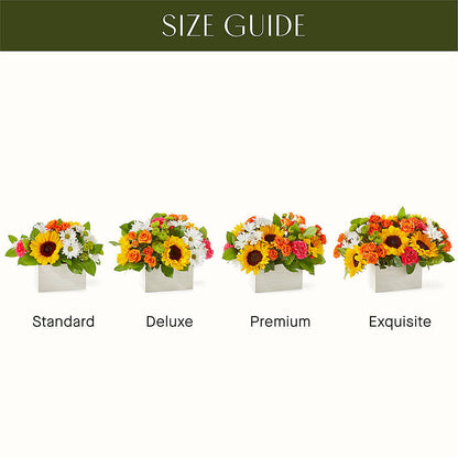 Sun-drenched Blooms Box Bouquet – DIGIORGIO'S FLORIST, Charleroi PA