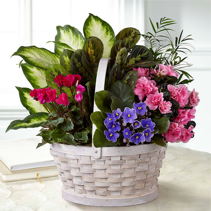 Peaceful Garden Planter – DIGIORGIO'S FLORIST, Charleroi PA