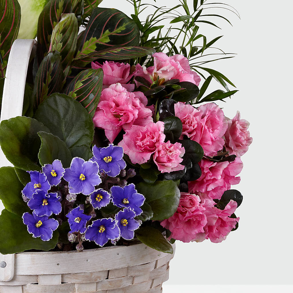 Peaceful Garden Planter – DIGIORGIO'S FLORIST, Charleroi PA