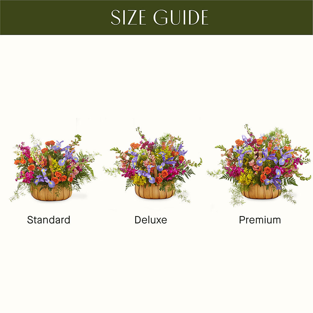 Garden of Life Basket – DIGIORGIO'S FLORIST, Charleroi PA
