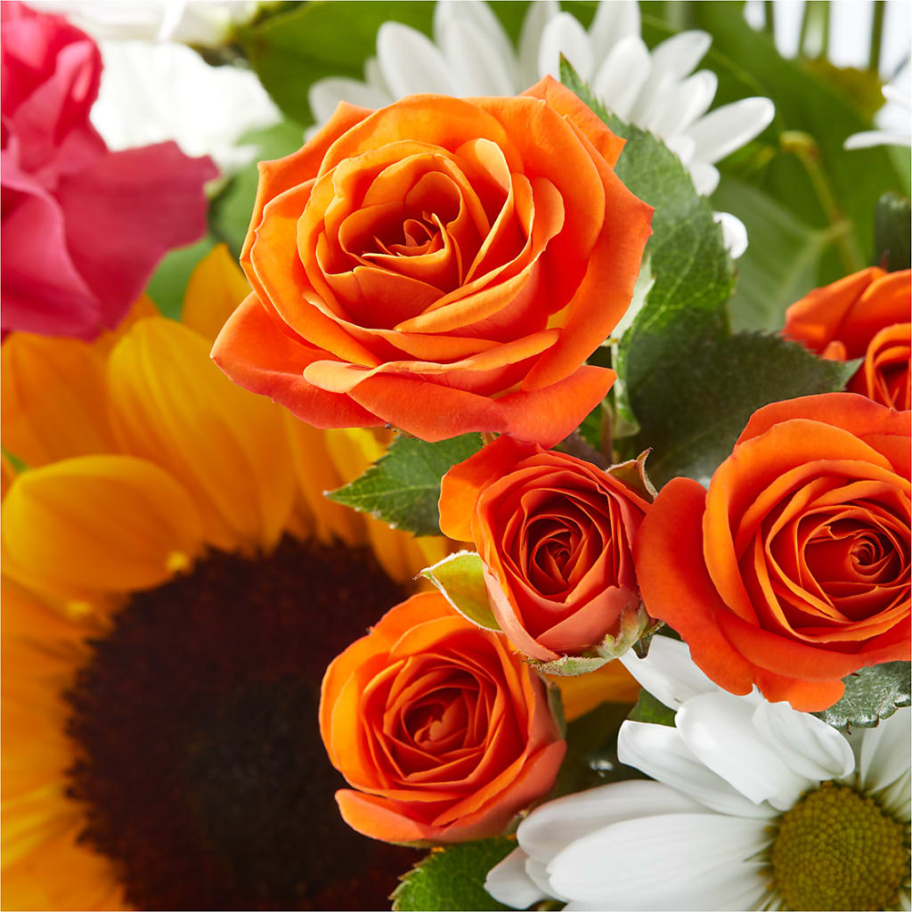 Sun-drenched Blooms Bouquet – DIGIORGIO'S FLORIST, Charleroi PA
