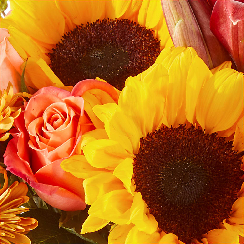 Acorn Lane Bouquet – DIGIORGIO'S FLORIST, Charleroi PA