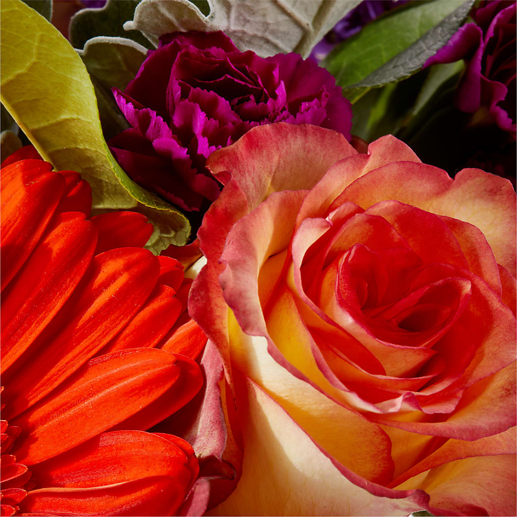 Sangria Bouquet – DIGIORGIO'S FLORIST, Charleroi PA