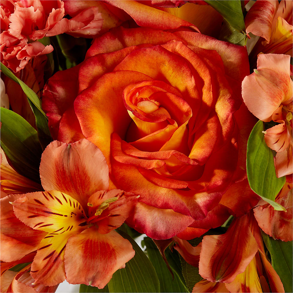 Apricot Glow Bouquet – DIGIORGIO'S FLORIST, Charleroi PA