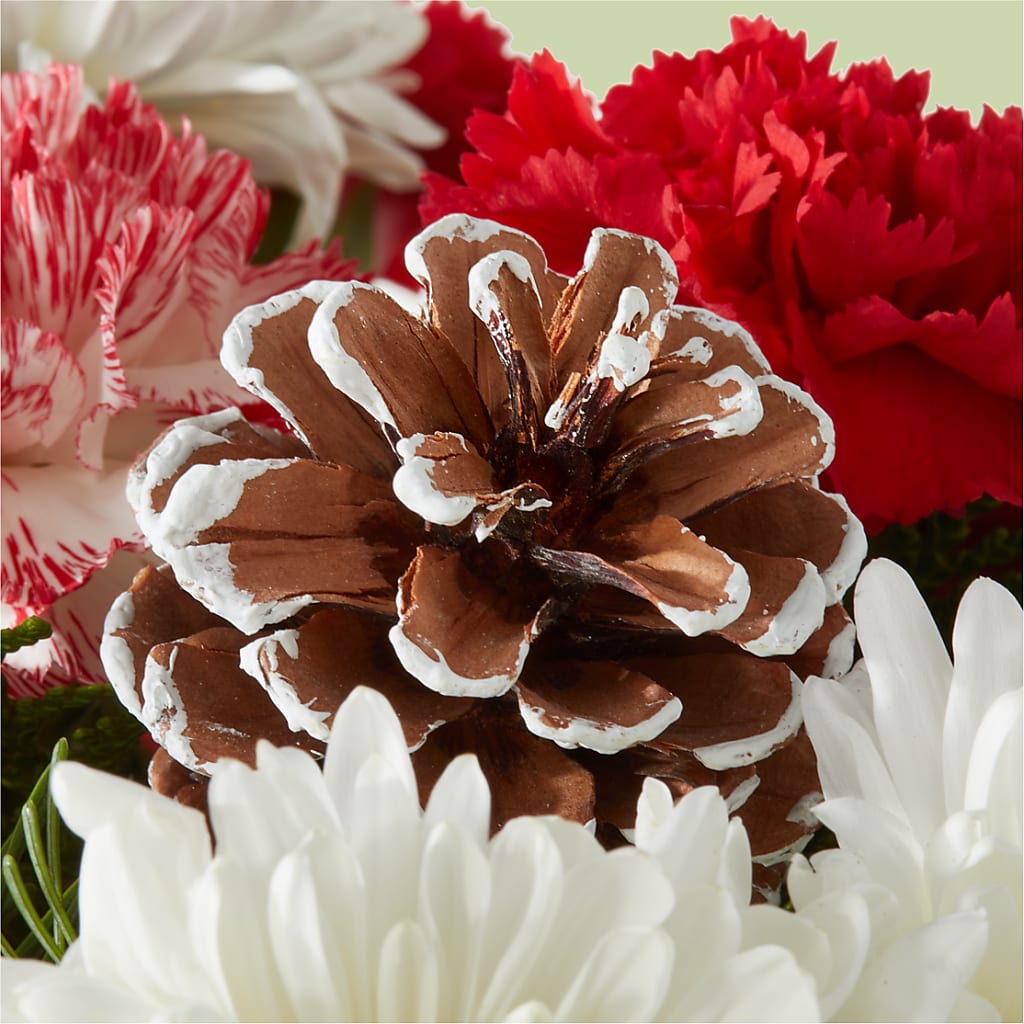 Candy Cane Lane Bouquet – DIGIORGIO'S FLORIST, Charleroi PA