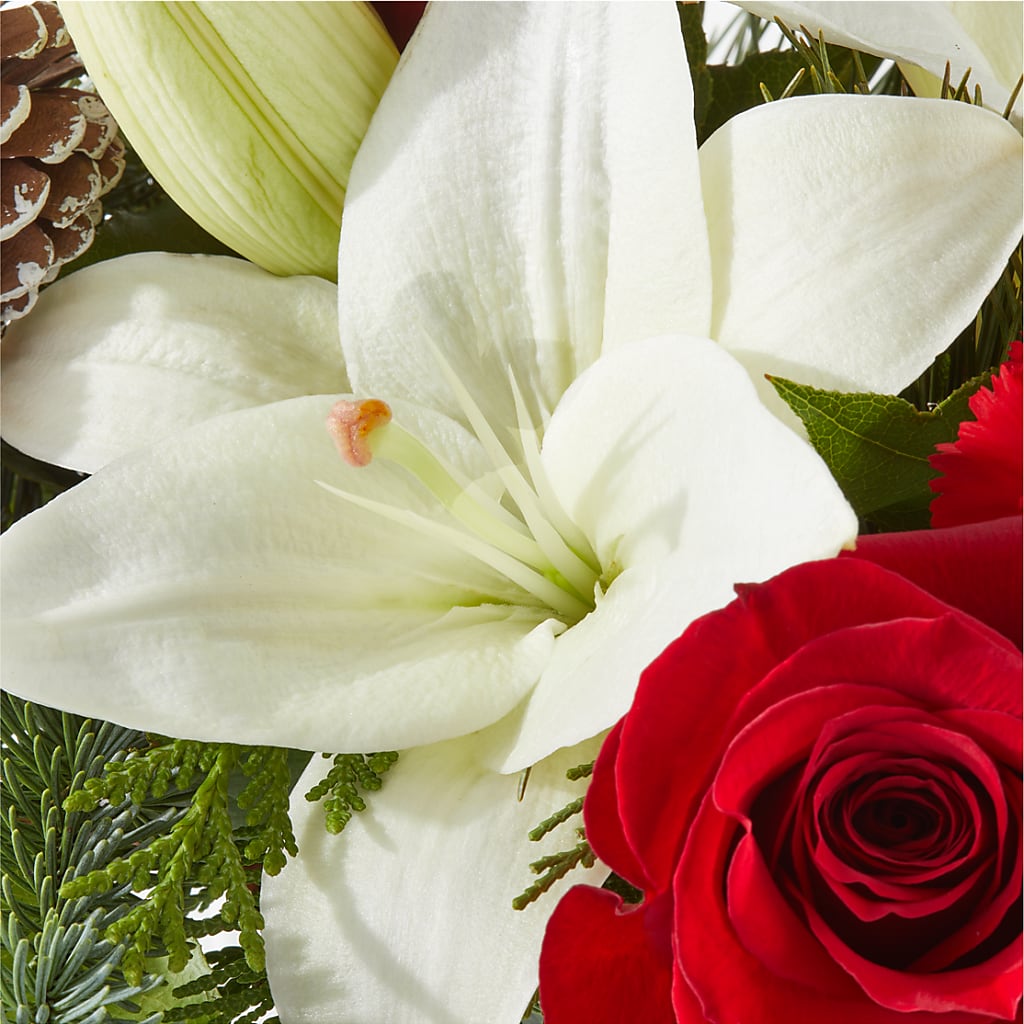 Oh So Jolly Bouquet – DIGIORGIO'S FLORIST, Charleroi PA