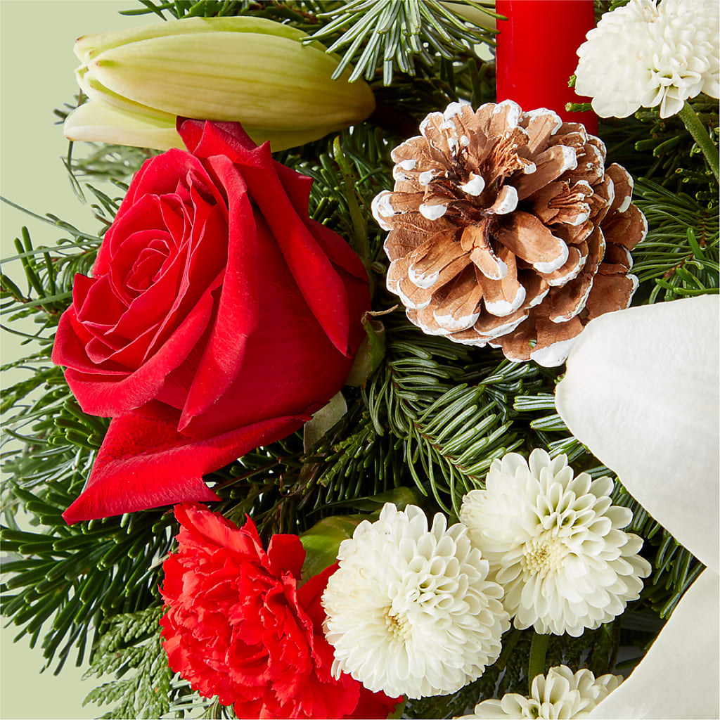 Seasonal Festivities Centerpiece – DIGIORGIO'S FLORIST, Charleroi PA