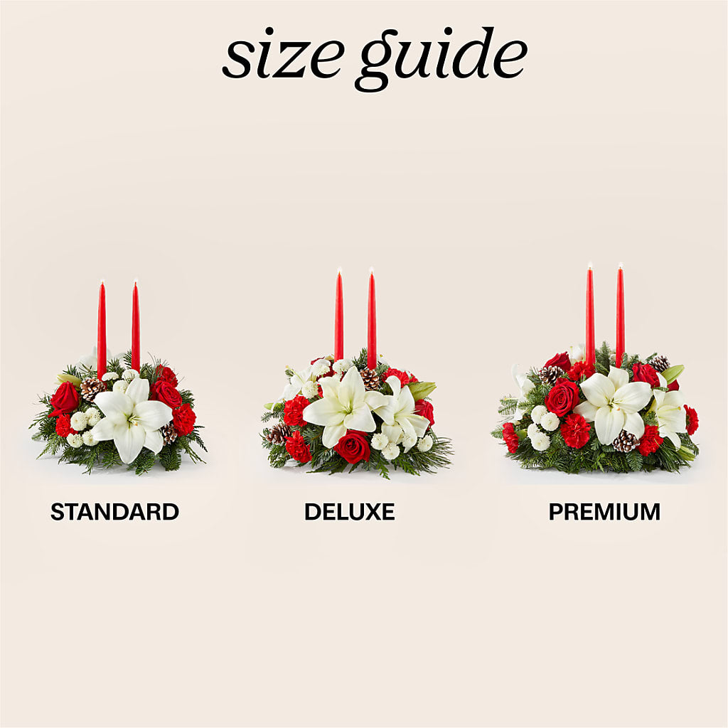 Seasonal Festivities Centerpiece – DIGIORGIO'S FLORIST, Charleroi PA