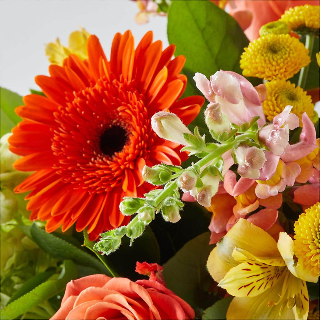 Autumn Sunshine Bouquet – DIGIORGIO'S FLORIST, Charleroi PA