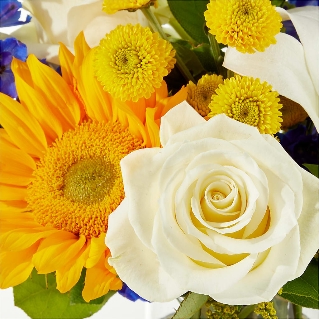 Stargazing Bouquet – DIGIORGIO'S FLORIST, Charleroi PA
