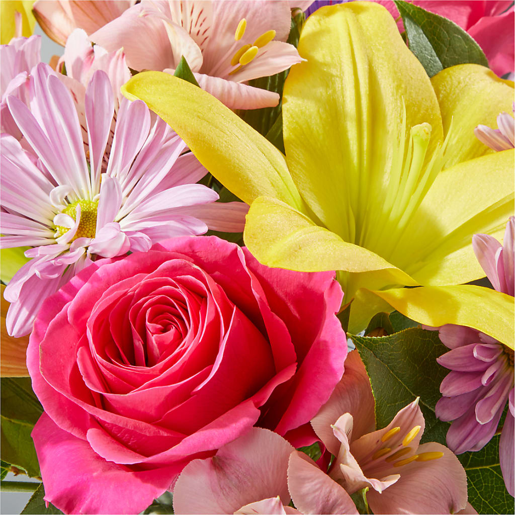 Sprinkles Bouquet – DIGIORGIO'S FLORIST, Charleroi PA