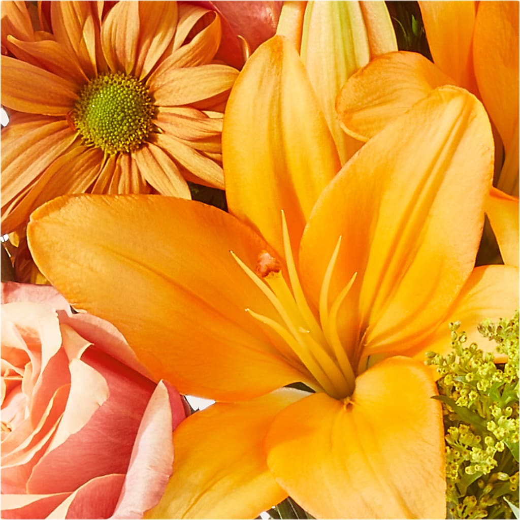 Harvest Hayride Bouquet – DIGIORGIO'S FLORIST, Charleroi PA