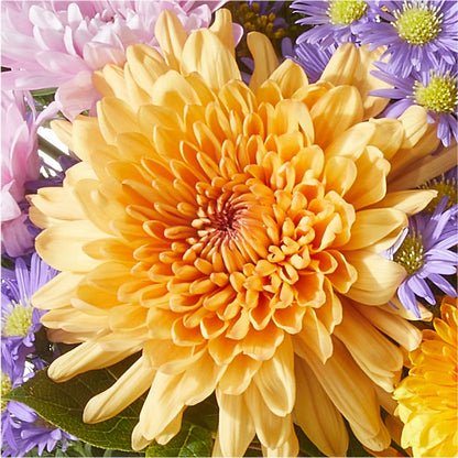 Countryside Bouquet – DIGIORGIO'S FLORIST, Charleroi PA
