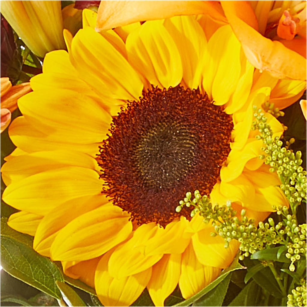 Seasons Change Bouquet – DIGIORGIO'S FLORIST, Charleroi PA