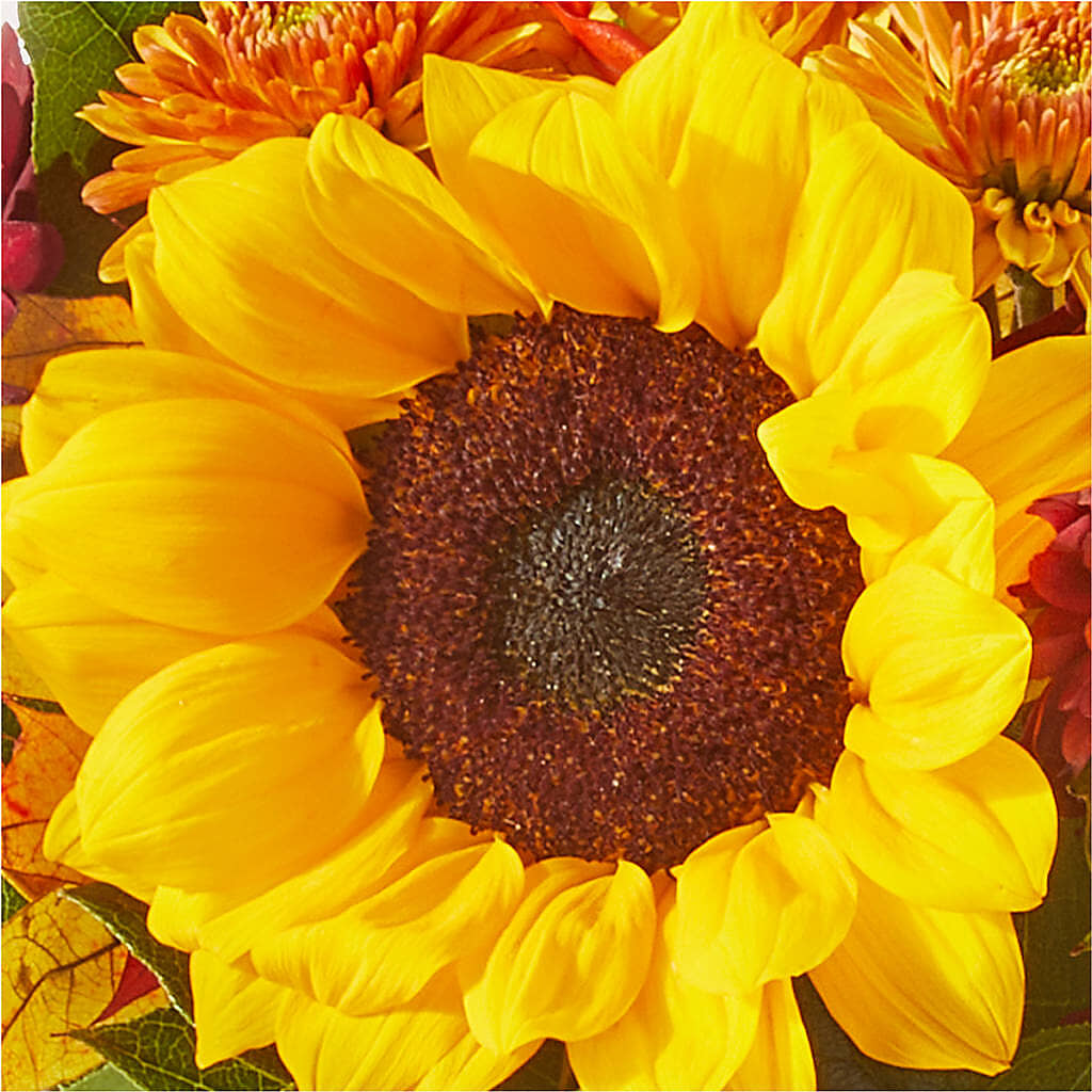 Sunny Side Bouquet – DIGIORGIO'S FLORIST, Charleroi PA