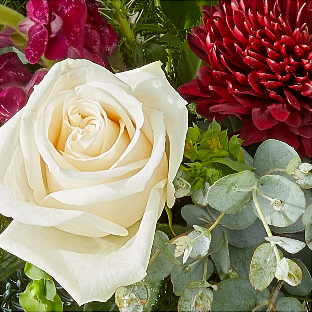 Cranberry Fizz Bouquet – DIGIORGIO'S FLORIST, Charleroi PA