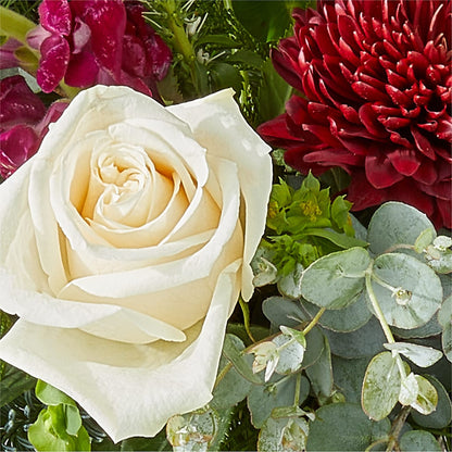 Cranberry Fizz Bouquet – DIGIORGIO'S FLORIST, Charleroi PA