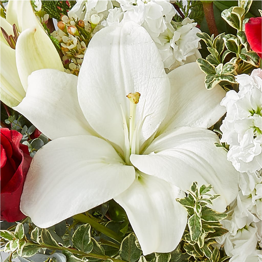 Twinkle Lights Bouquet – DIGIORGIO'S FLORIST, Charleroi PA