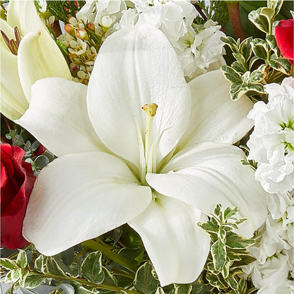 Twinkle Lights Bouquet – DIGIORGIO'S FLORIST, Charleroi PA