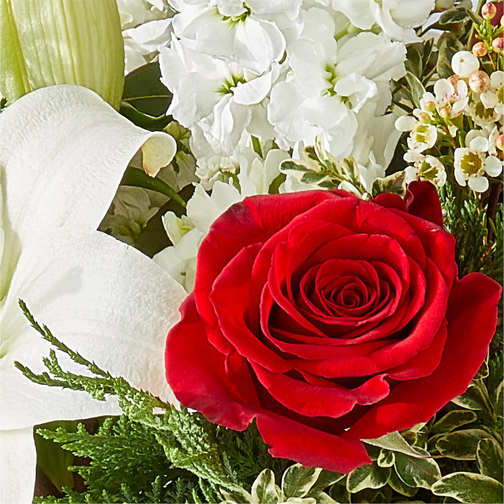 Twinkle Lights Bouquet – DIGIORGIO'S FLORIST, Charleroi PA