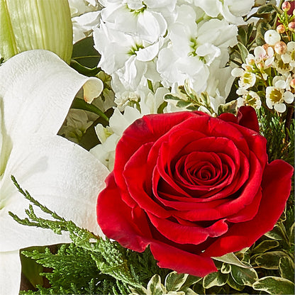 Twinkle Lights Bouquet – DIGIORGIO'S FLORIST, Charleroi PA