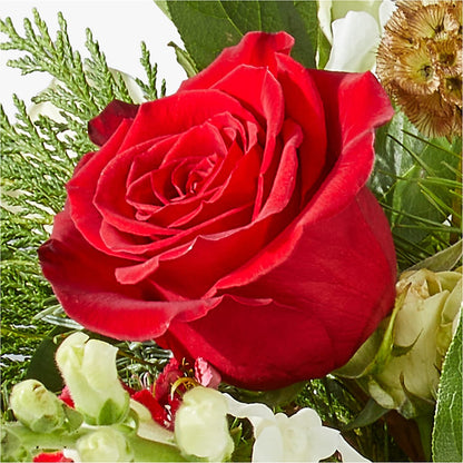 Deck the Halls Bouquet – DIGIORGIO'S FLORIST, Charleroi PA