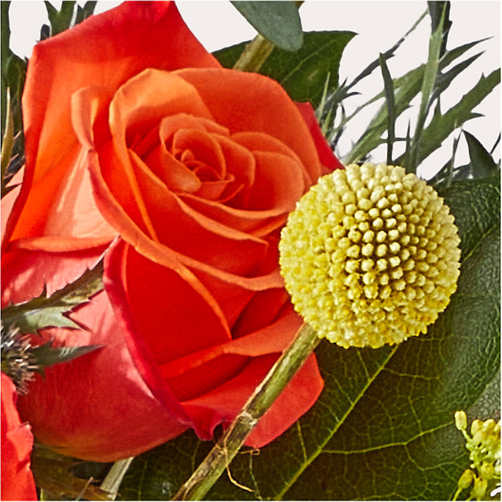 Disco Bouquet – DIGIORGIO'S FLORIST, Charleroi PA