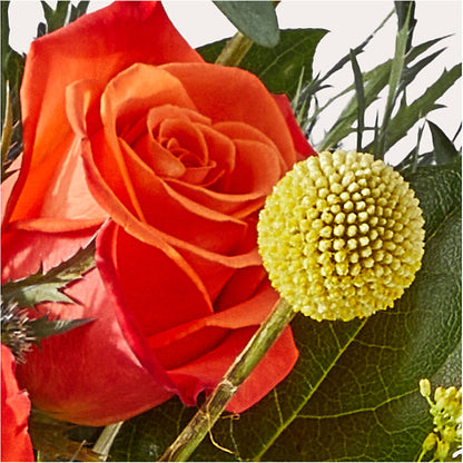 Disco Bouquet – DIGIORGIO'S FLORIST, Charleroi PA