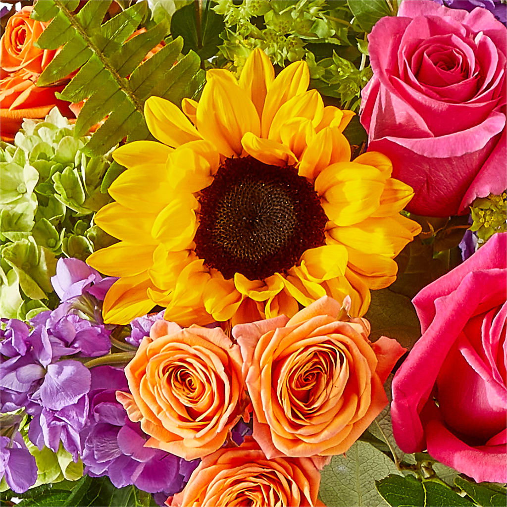 Vibrant Greetings Bouquet – DIGIORGIO'S FLORIST, Charleroi PA