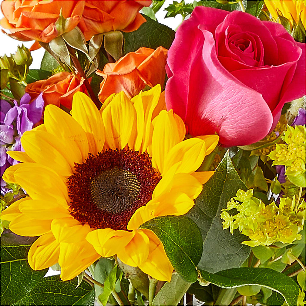 Vibrant Greetings Bouquet – DIGIORGIO'S FLORIST, Charleroi PA