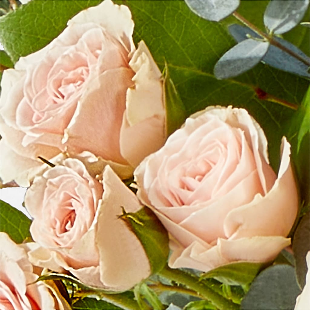 Inspired Bouquet – DIGIORGIO'S FLORIST, Charleroi PA