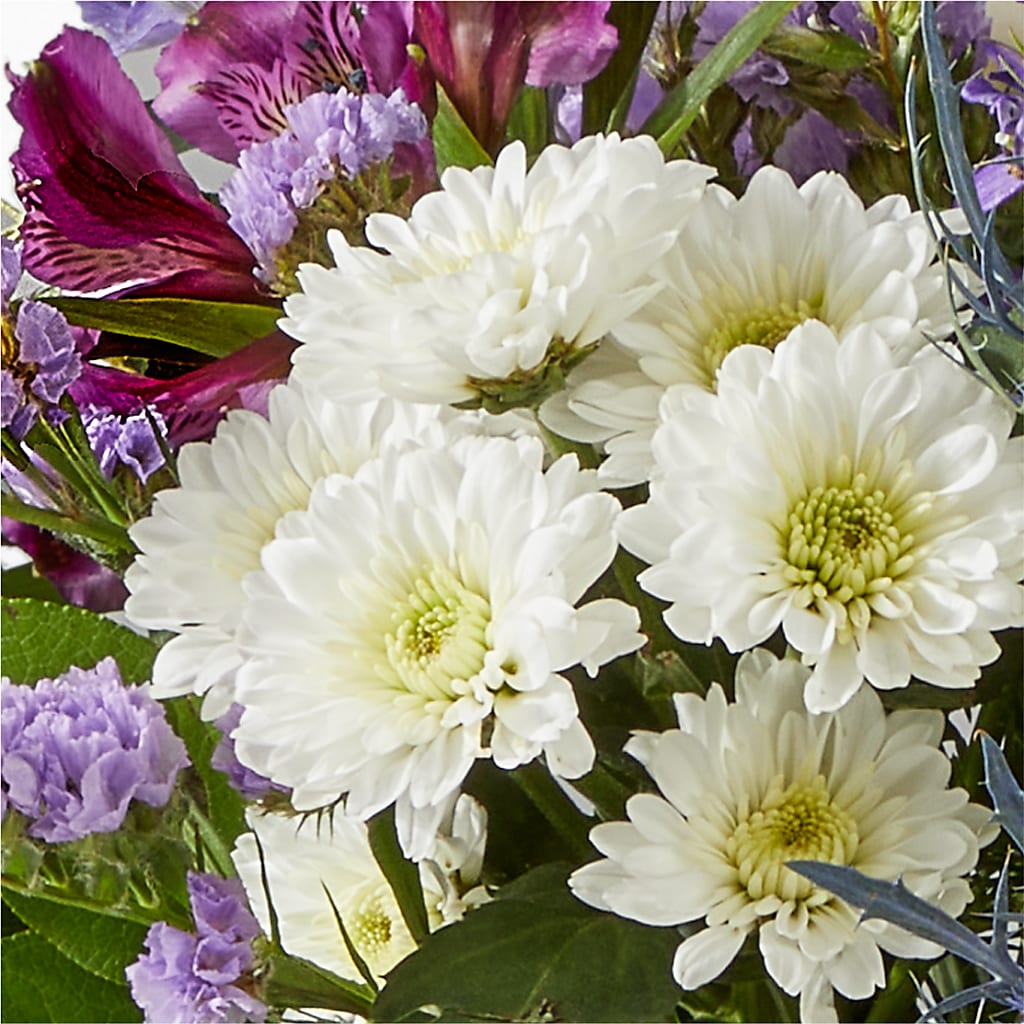 Shooting Star Bouquet – DIGIORGIO'S FLORIST, Charleroi PA