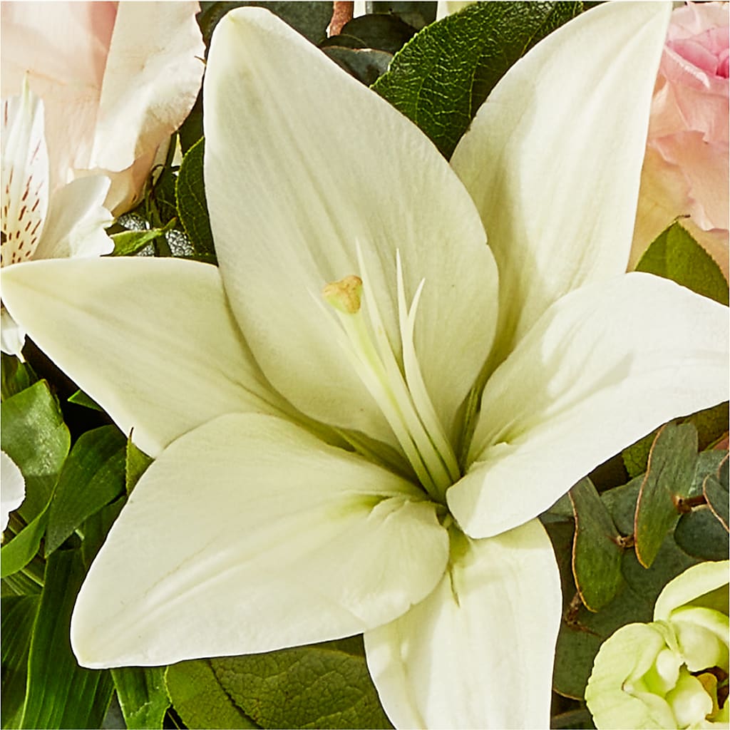 Ballet Slippers Bouquet – DIGIORGIO'S FLORIST, Charleroi PA