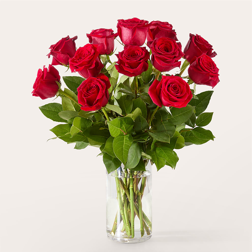 The One Red Rose Bouquet – DIGIORGIO'S FLORIST, Charleroi PA