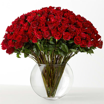 The Idealist – DIGIORGIO'S FLORIST, Charleroi PA