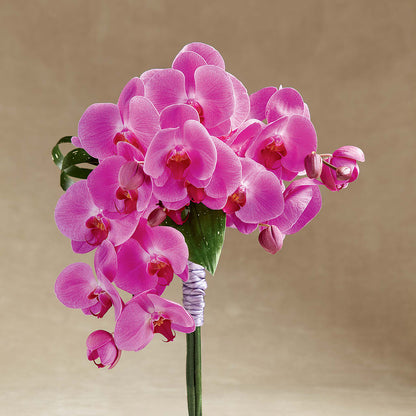 Glorious Bouquet – DIGIORGIO'S FLORIST, Charleroi PA