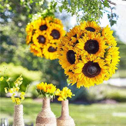 Sublime Garden Hanging Arrangement – DIGIORGIO'S FLORIST, Charleroi PA